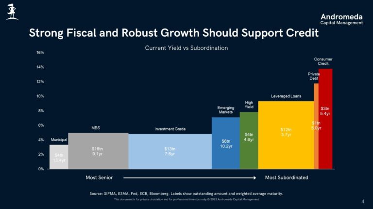 Andromeda Capital Management | Credit Webcast | June 2024