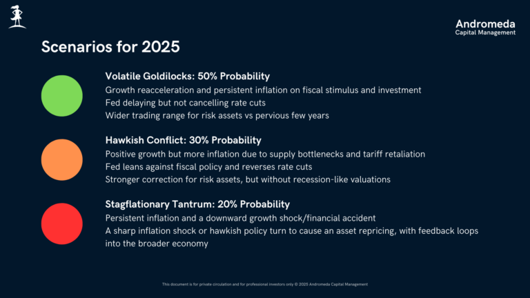 Andromeda Capital Management | Credit Webcast | January 2025